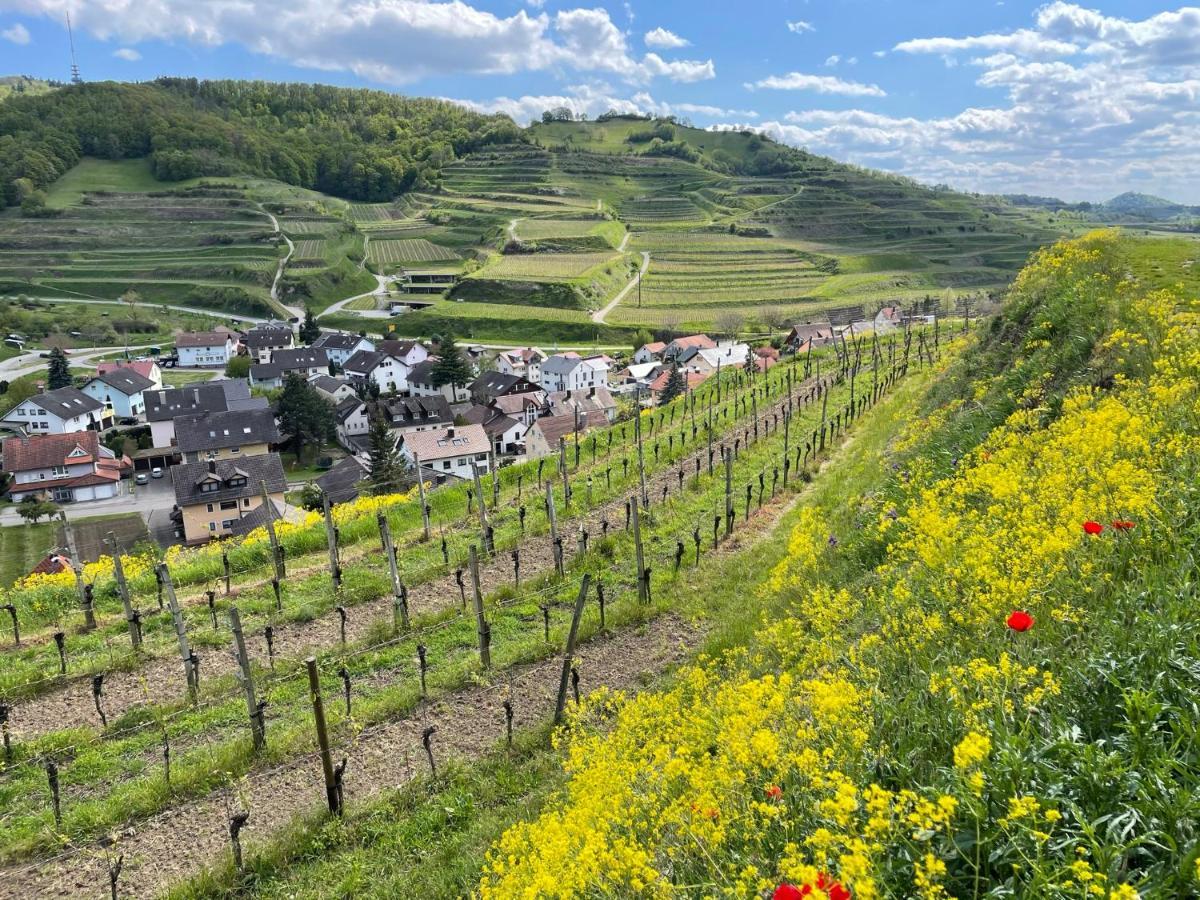 Weingut & Strausswirtschaft Vogel Apartment Vogtsburg Luaran gambar