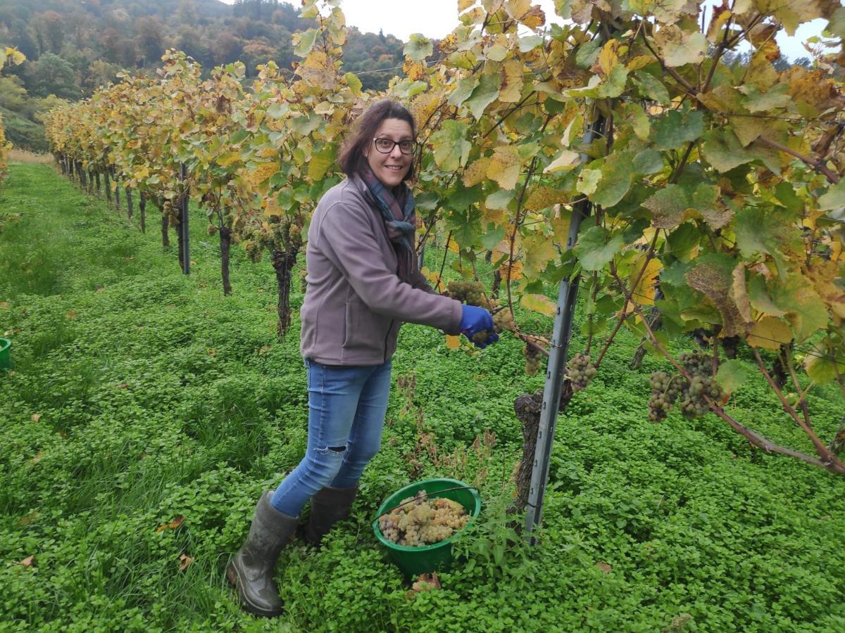 Weingut & Strausswirtschaft Vogel Apartment Vogtsburg Luaran gambar