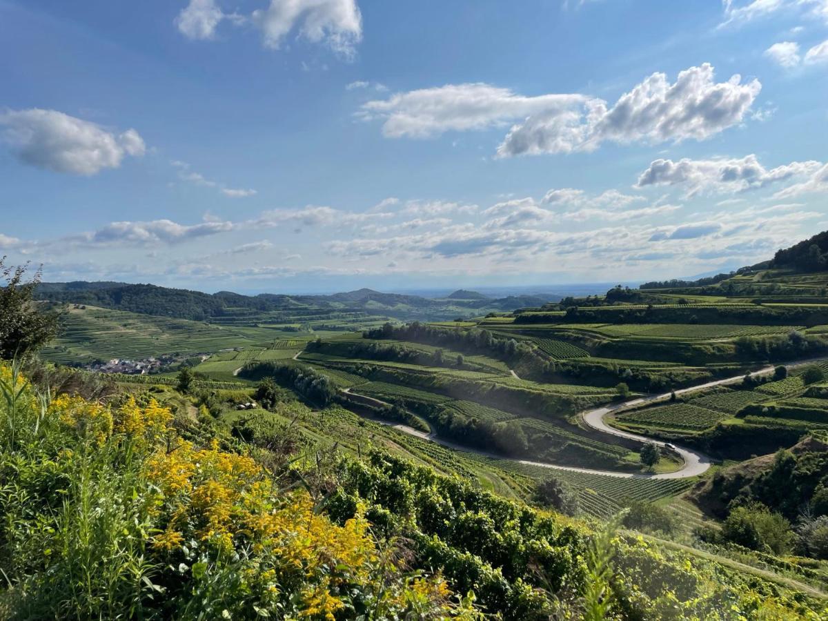 Weingut & Strausswirtschaft Vogel Apartment Vogtsburg Luaran gambar