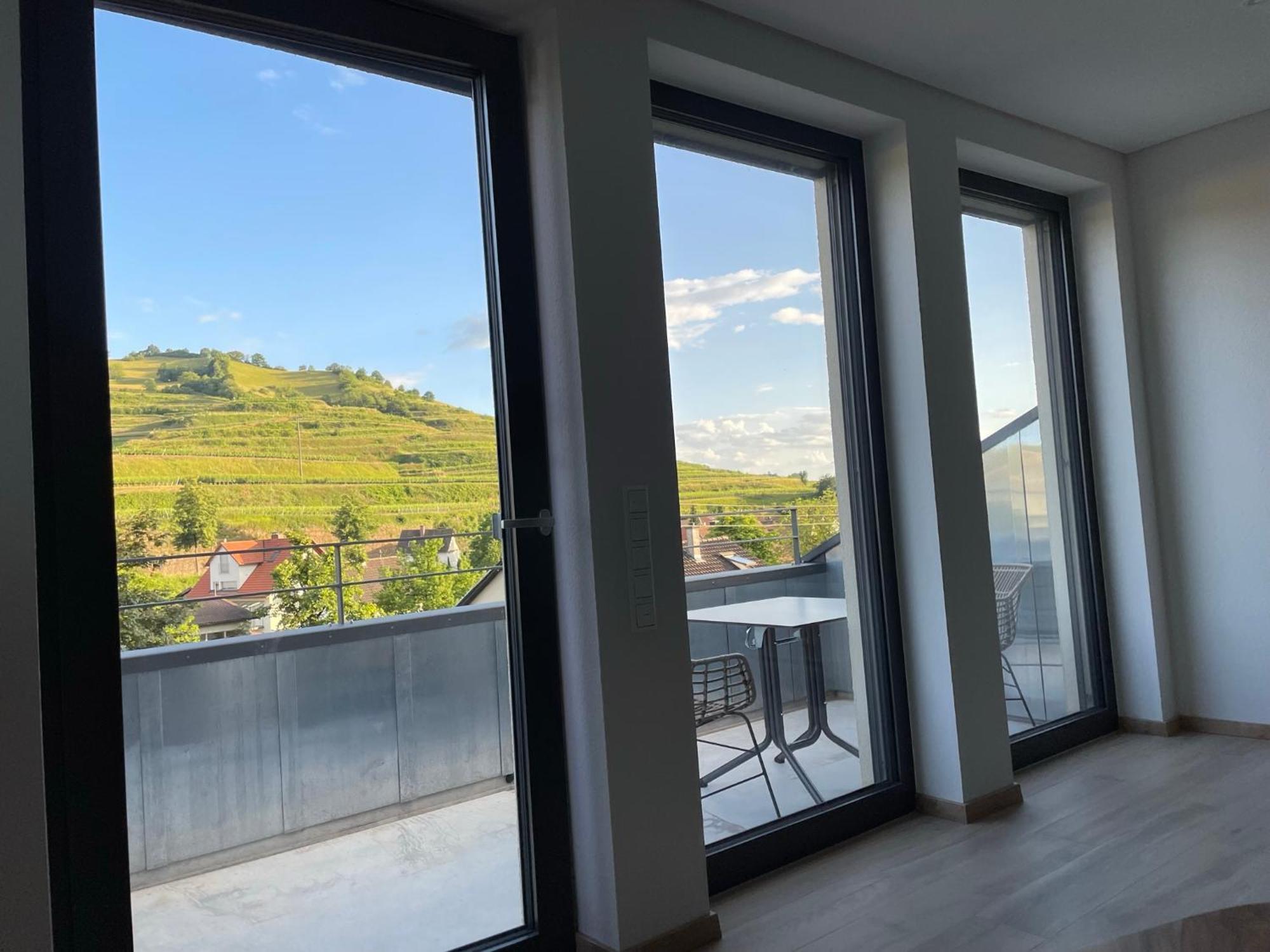 Weingut & Strausswirtschaft Vogel Apartment Vogtsburg Luaran gambar