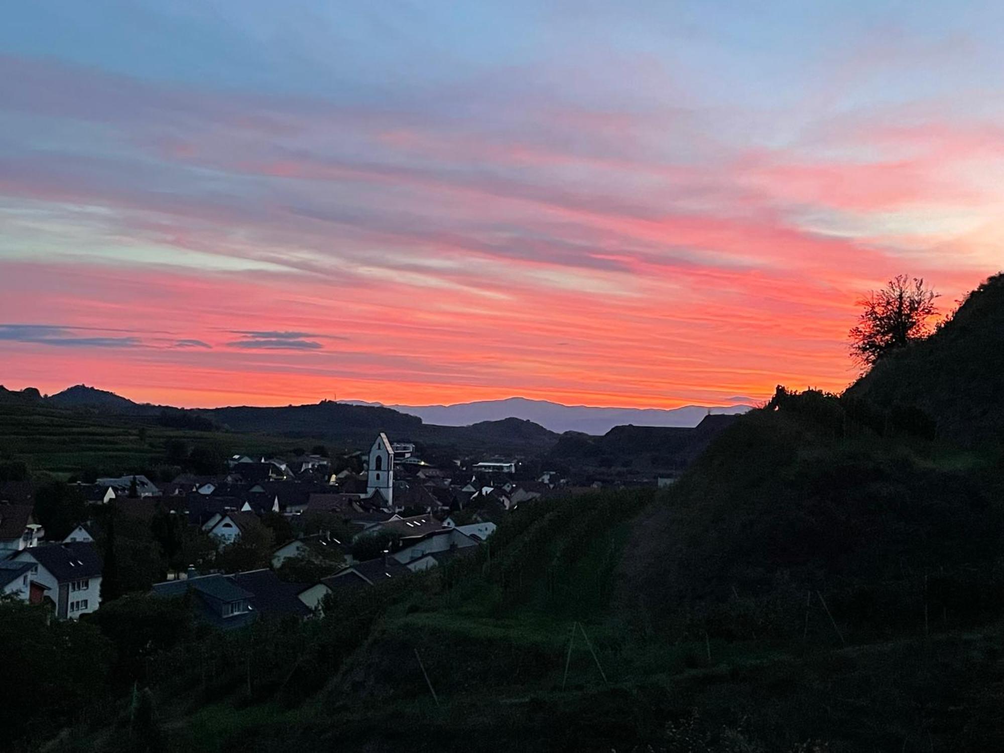 Weingut & Strausswirtschaft Vogel Apartment Vogtsburg Luaran gambar