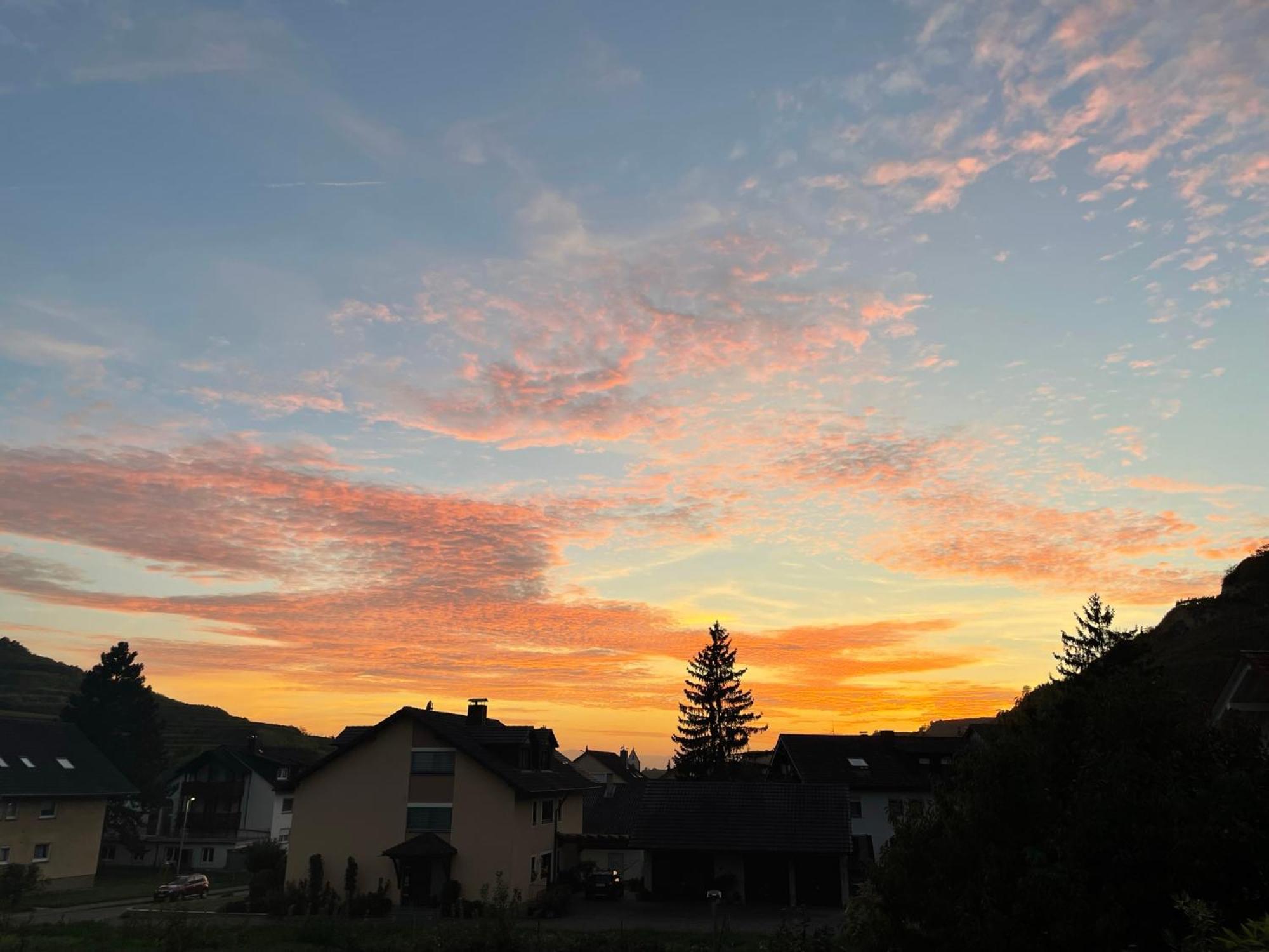 Weingut & Strausswirtschaft Vogel Apartment Vogtsburg Luaran gambar