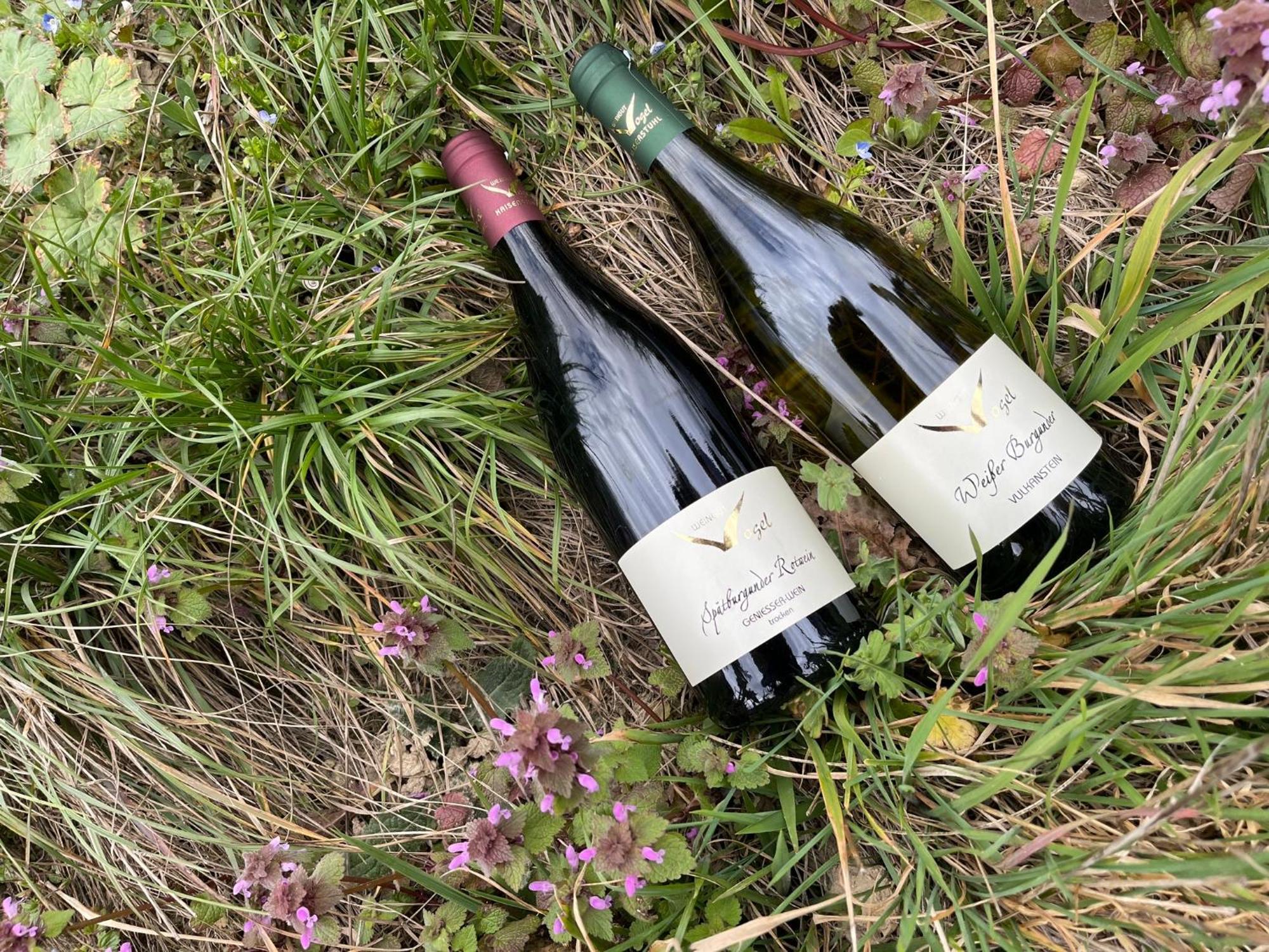 Weingut & Strausswirtschaft Vogel Apartment Vogtsburg Luaran gambar